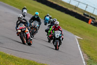 PJ-Motorsport-2019;anglesey-no-limits-trackday;anglesey-photographs;anglesey-trackday-photographs;enduro-digital-images;event-digital-images;eventdigitalimages;no-limits-trackdays;peter-wileman-photography;racing-digital-images;trac-mon;trackday-digital-images;trackday-photos;ty-croes